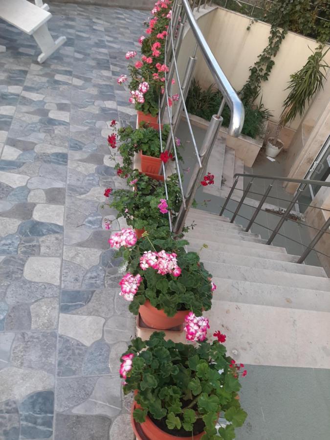 Family Coral Hotel 3*